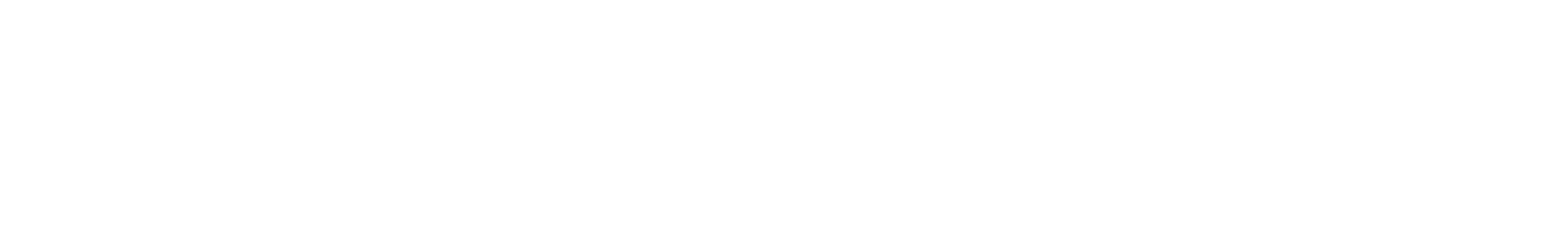 Youth Volunteer Corps