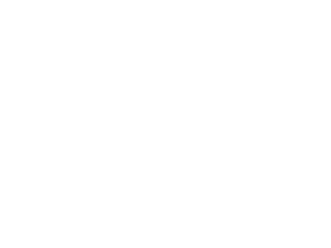 DeBruce Foundation