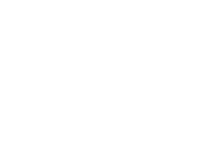 DeBruce Foundation DeBruce Foundation