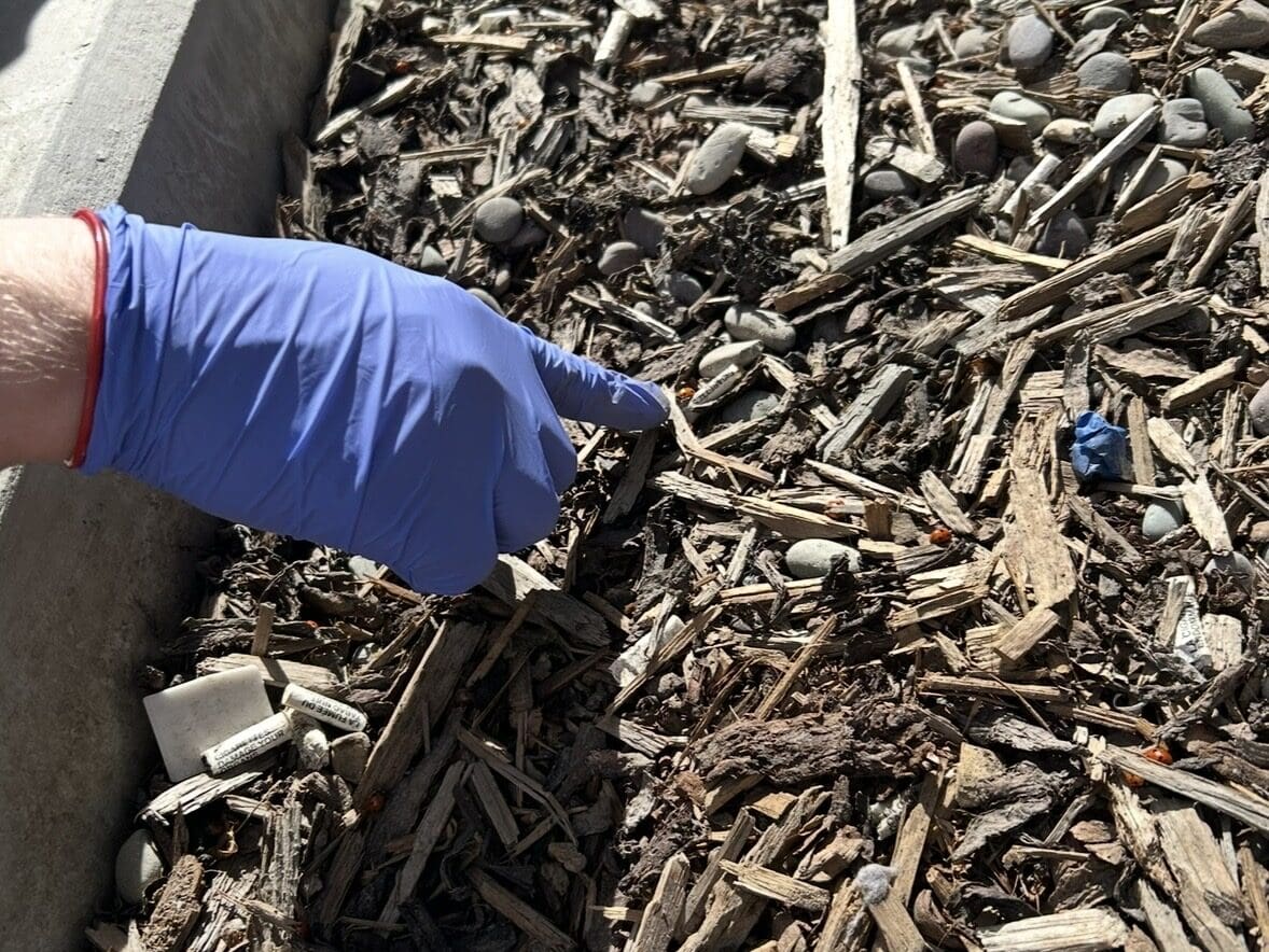 Connor Alumni YVC Day 2026